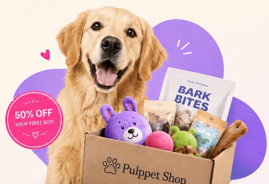 A very good dog with a Pulppet Shop box of toys and treats