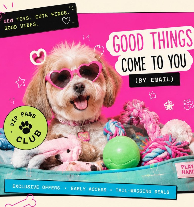Pulppet pup in heart sunglasses surrounded by toys